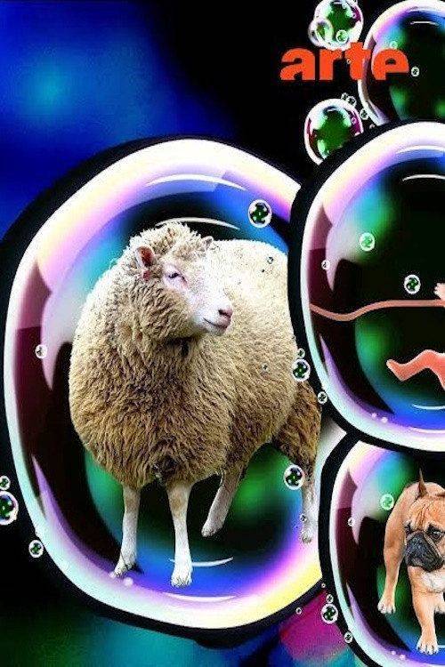 Foto de Stream Film “Dollys Erbe - Zwischen Heilung und Hybris” 〔2026〕 auf Deutsch kostenlos | 〈Dolly 2026〉