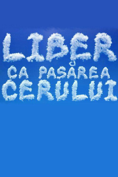 Foto de Vizionează 『Liber ca pasărea cerului EP.8 (Episodiu 8)』 online subtitrat