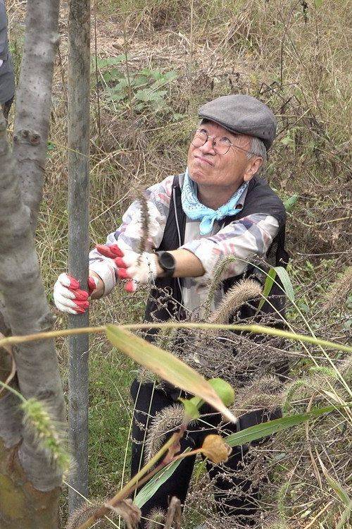 Foto de 「대마밭의 목사님」 【2026】 무료 다시보기 자막