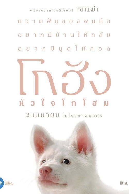 Foto de ดาวน์โหลดหนัง โกฮัง..หัวใจโกโฮม “2026” ซับไทย เต็มเรื่อง