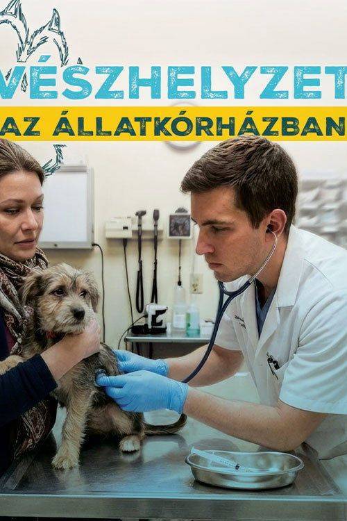 Foto de Nézd Vészhelyzet az állatkórházban EP.5 (Epizód 5) magyar felirattal online