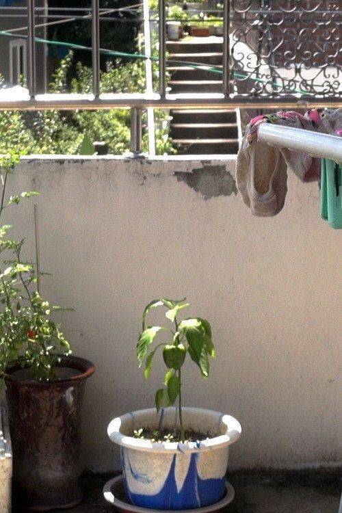 Foto de 「양말은 누가 빨아요?​」 (2026) 무료 다시보기 자막