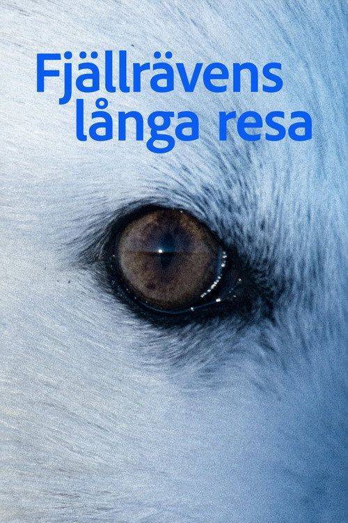 Foto de Titta på Film 「Fjällrävens långa resa」 《2026》 Svenska Undertexter