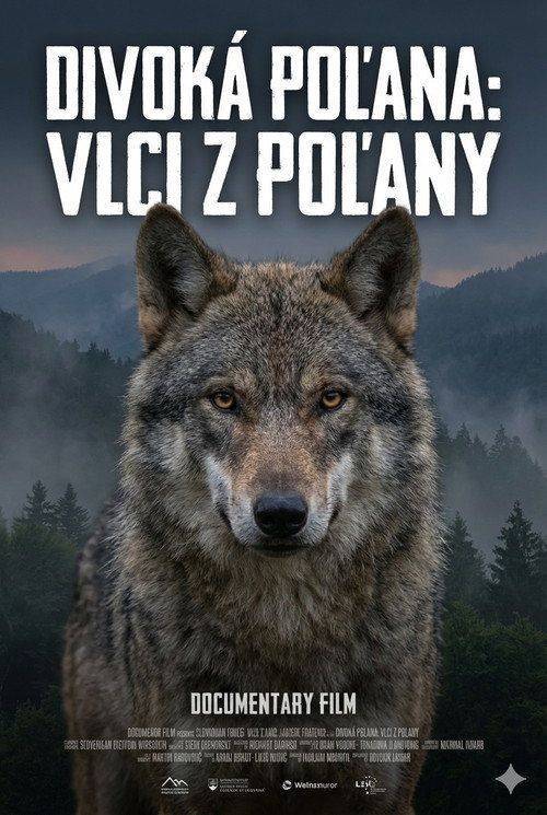 Foto de Streamuj Film Divoká Poľana: Vlci z Poľany [2024] so slovenskými titulkami