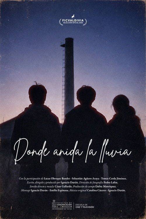 Foto de “Donde anida la lluvia” “2026” Cuevana 3 — Pelisflix Full HD Español