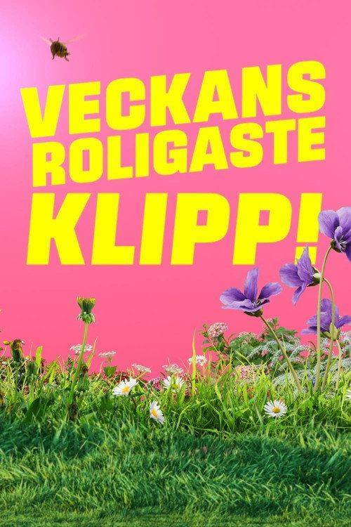 Foto de Streama Veckans roligaste klipp EP.8 (Avsnitt 8) med svenska undertexter