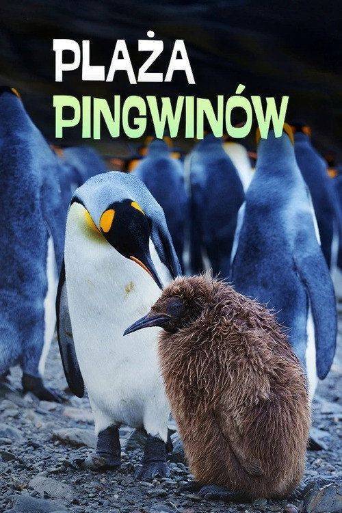 Foto de Voir Penguin Baywatch EP.2 (Épisode 2) en streaming vostfr