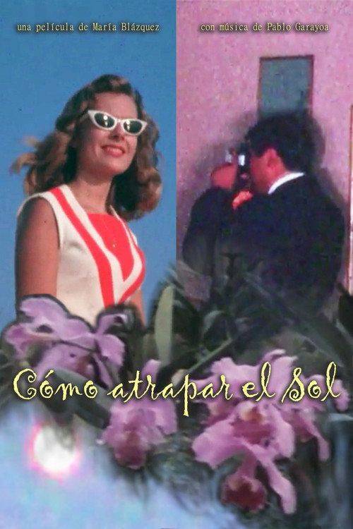 Foto de Ver Película Cómo atrapar el Sol en Español y Latino — Cuevana 3 Pelisflix