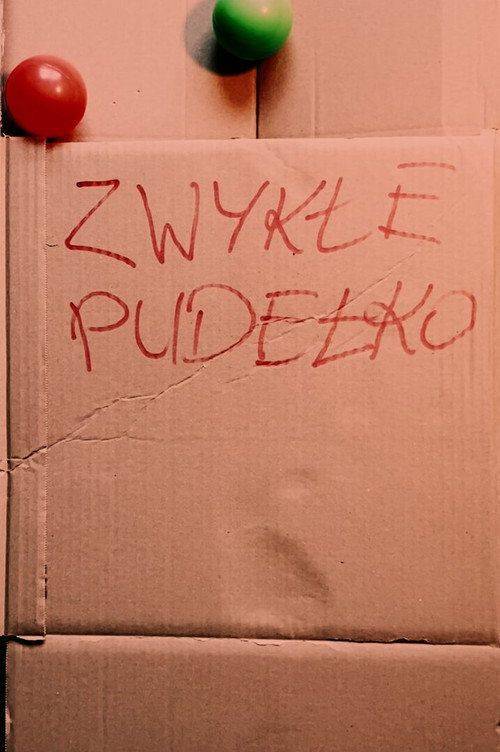 Foto de Oglądaj Film “ZWYKŁE PUDEŁKO” (2026) z Napisami PL Online