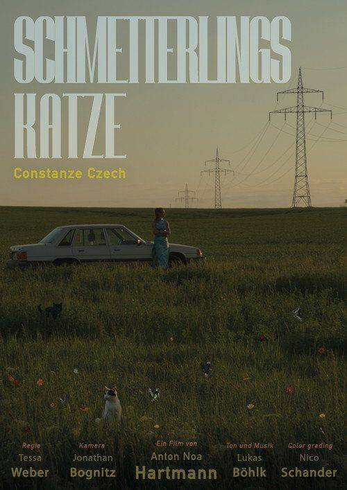 Foto de Stream Film Schmetterlingskatze 『2026』 auf Deutsch kostenlos