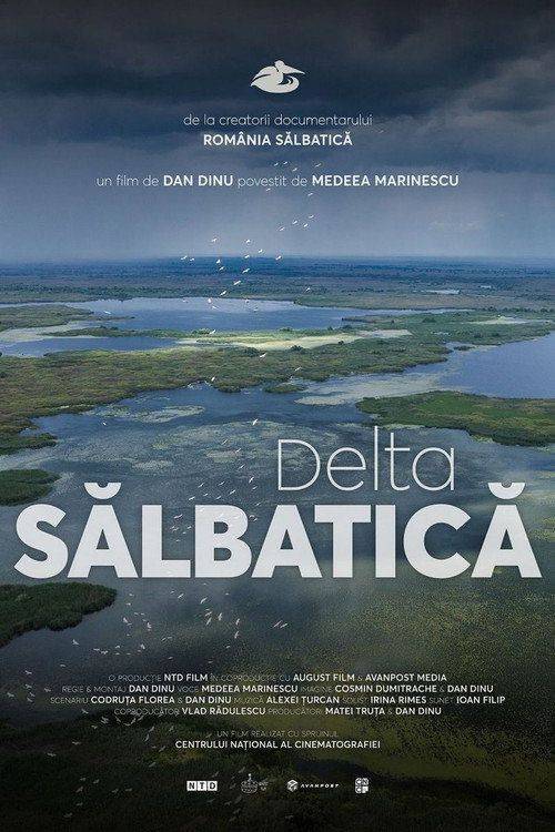 Foto de Uită-te la Film Delta Sălbatică 【2026】 Subtitrat în Română