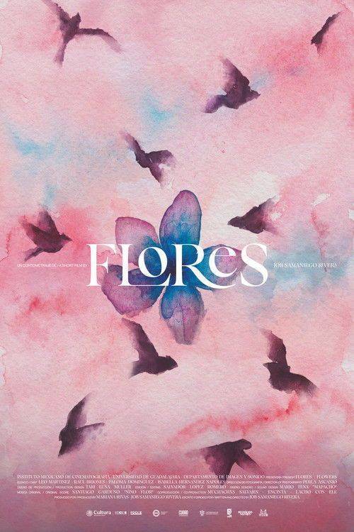 Foto de Flores (2026) Cuevana 3 — Pelisflix Full HD Español