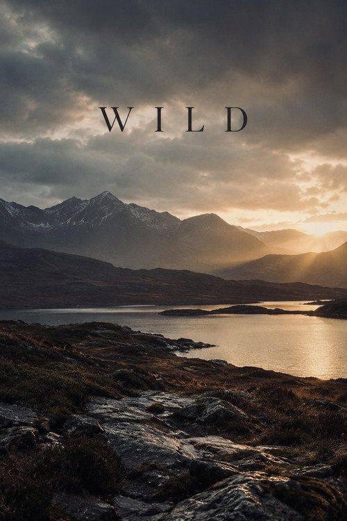 Foto de Watch Movie Wild 【2026】 with English Subtitles Online