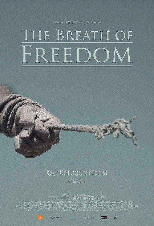 Foto de İzle Film 「Özgürlüğün Nefesi」 〈2026〉 Türkçe Altyazılı Online
