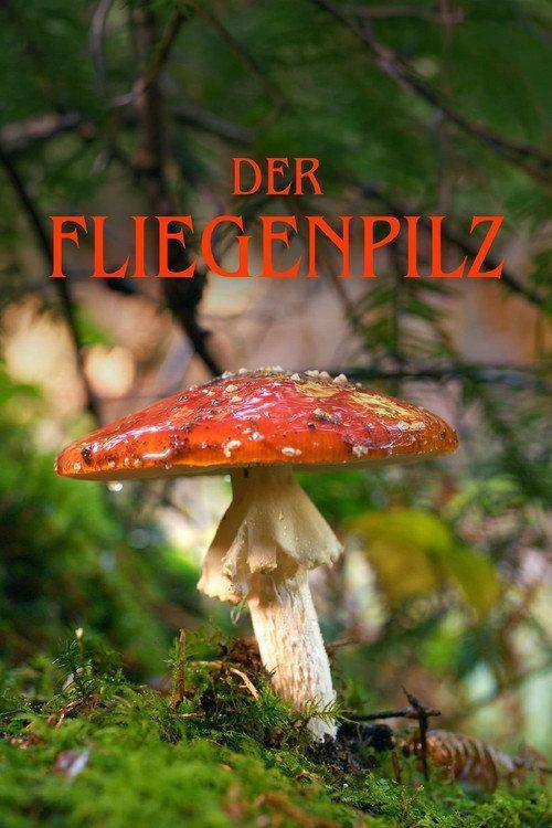 Foto de Stream Film 「Der Fliegenpilz」 [2026] auf Deutsch kostenlos