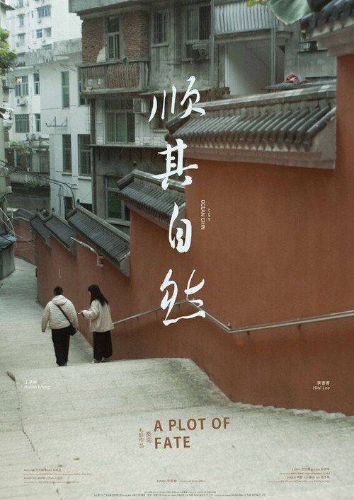 Foto de 观看电影 順其自然 〔2026〕 中文字幕在线