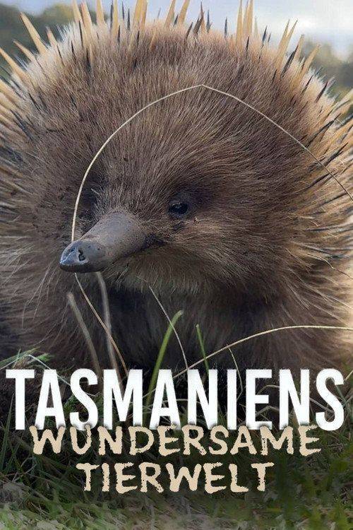 Foto de Stream 『Tasmaniens wundersame Tierwelt EP.2 (Episode 2)』 auf deutsch kostenlos
