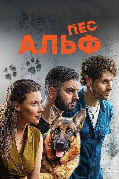 Foto de Дивитися “Пес Альф EP.24 (Епізод 24)” з українськими субтитрами