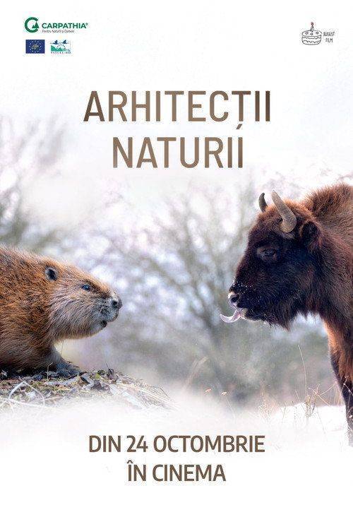 Foto de Descarcă Film “Arhitecții naturii” (•2025•) Subtitrat Română