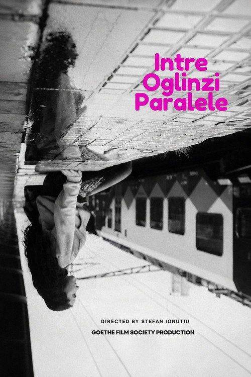 Foto de Vizionează Film Intre Oglinzi Paralele 『2026』 Online Subtitrat
