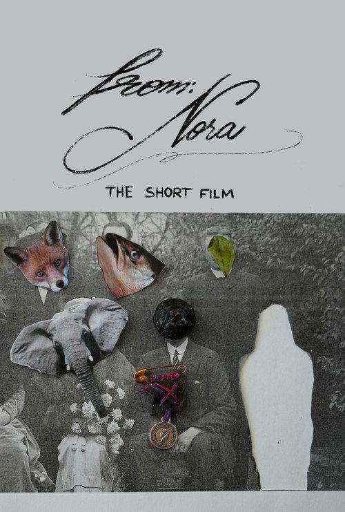 Foto de Vizionează Film From: Nora 〈2024〉 Online Subtitrat