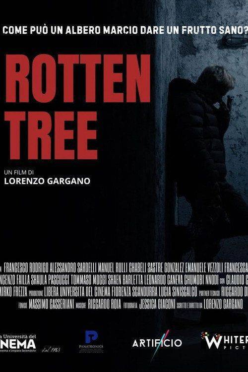 Foto de Guarda Film 『Rotten Tree』 《2026》 Sub Ita Online
