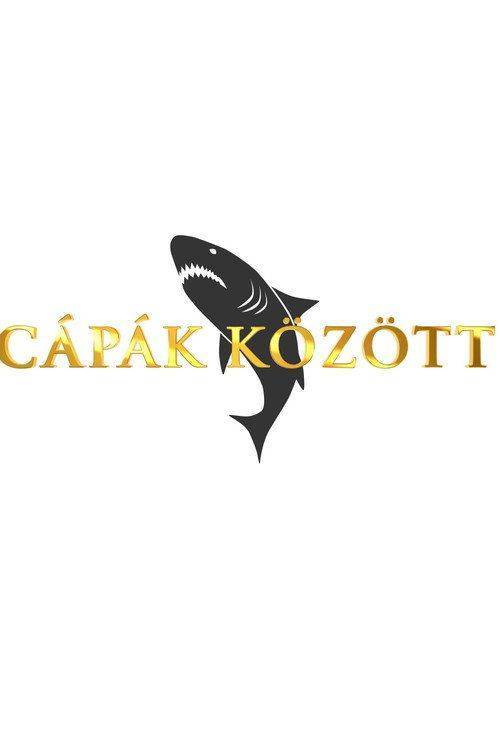 Foto de Nézd “Cápák között S9 EP.13 (Évad 9 Epizód 13)” magyar felirattal online
