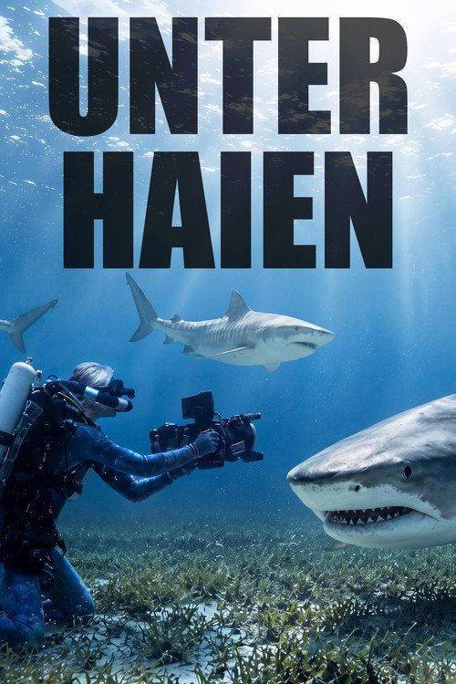 Foto de Schau Unter Haien EP.2 (Episode 2) mit deutschen untertiteln online